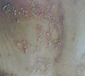 ŧ����ţƤѢ������֢״����