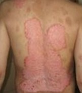 ������������ţƤѢ�ȽϺ�